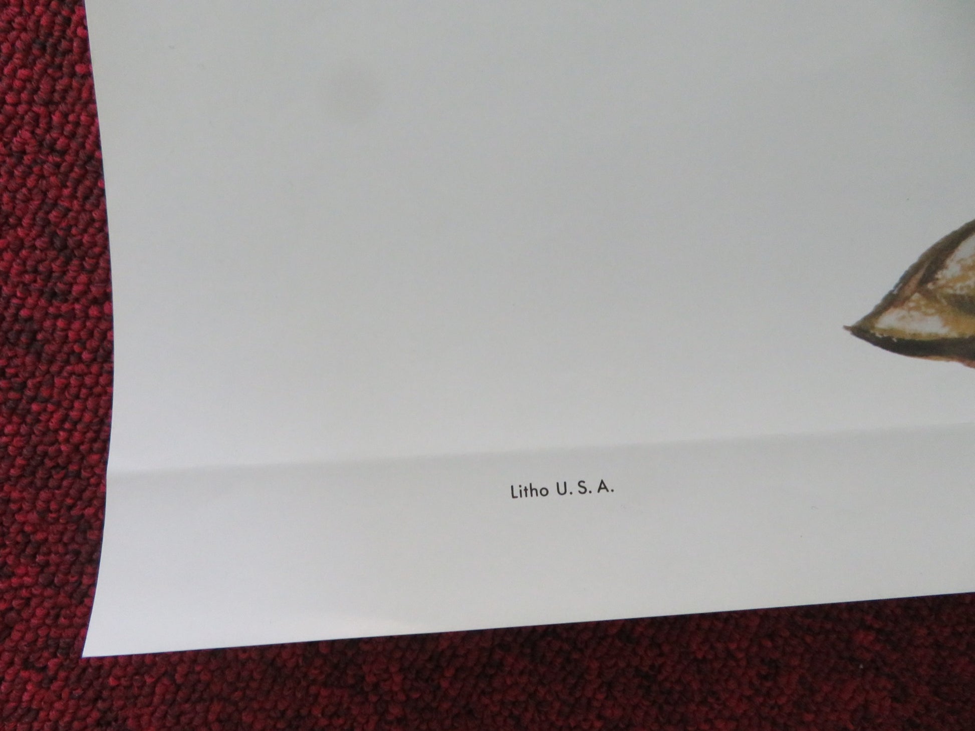 PETER PAN US ONE SHEET ROLLED POSTER DISNEY BOBBY DRISCOLL KATHRYN BEAUMONT 1982 - Rendezvous Cinema