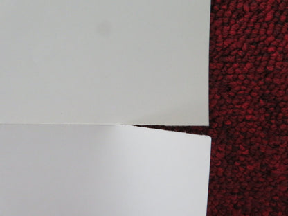 PETER PAN US ONE SHEET ROLLED POSTER DISNEY BOBBY DRISCOLL KATHRYN BEAUMONT 1982 - Rendezvous Cinema