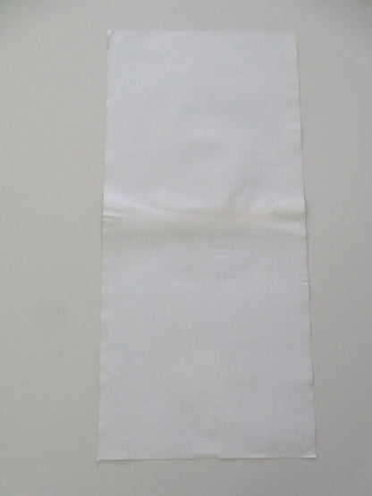 ACCATTONE ITALIAN LOCANDINA POSTER FRANCO CITTI FRANCA PASUT - Rendezvous Cinema