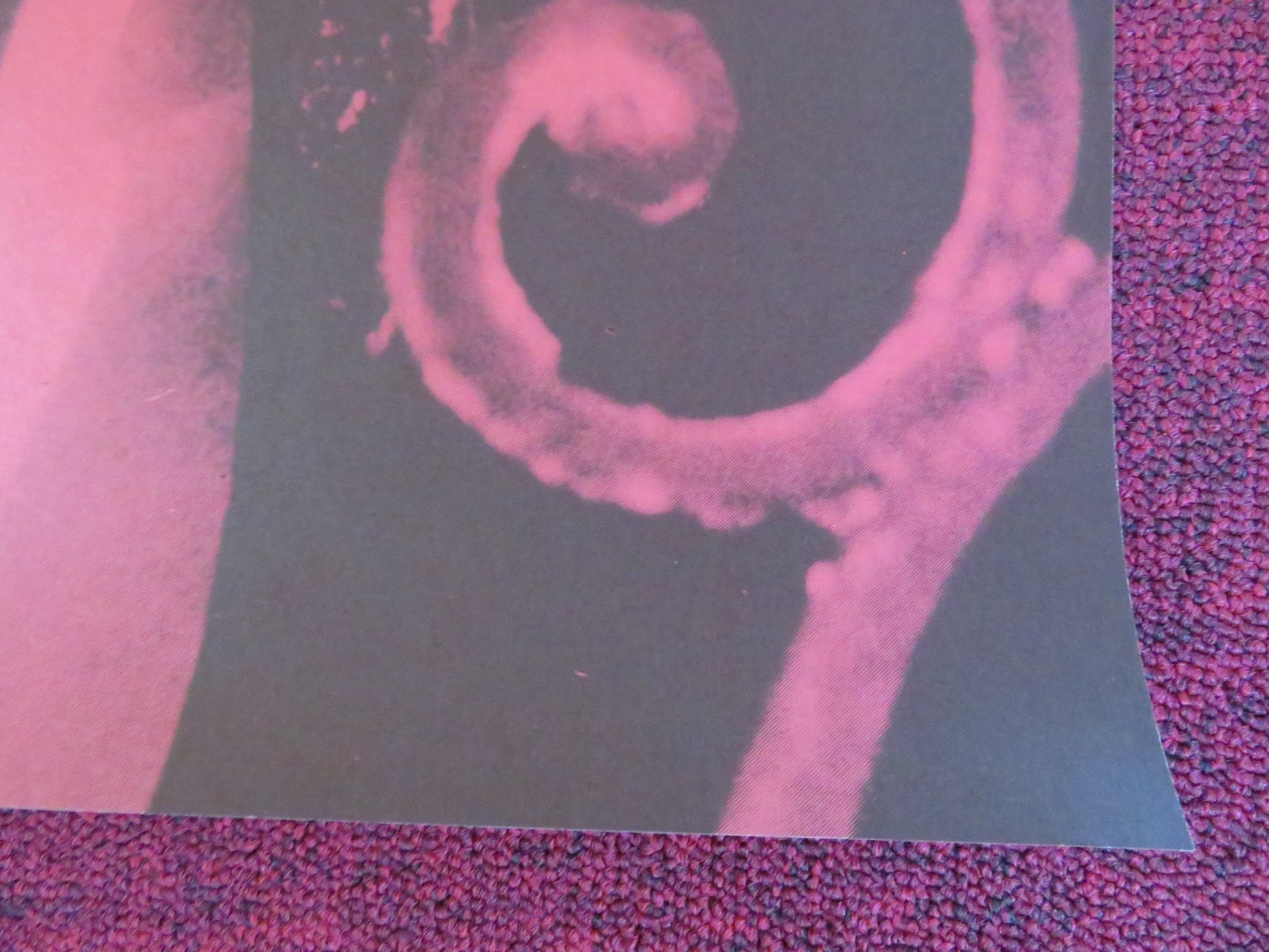 AMADA GERMAN POSTER ROLLED ESLINDA NUNEZ CESAR EVORA 1986 - Rendezvous Cinema