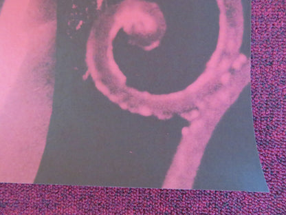 AMADA GERMAN POSTER ROLLED ESLINDA NUNEZ CESAR EVORA 1986 - Rendezvous Cinema