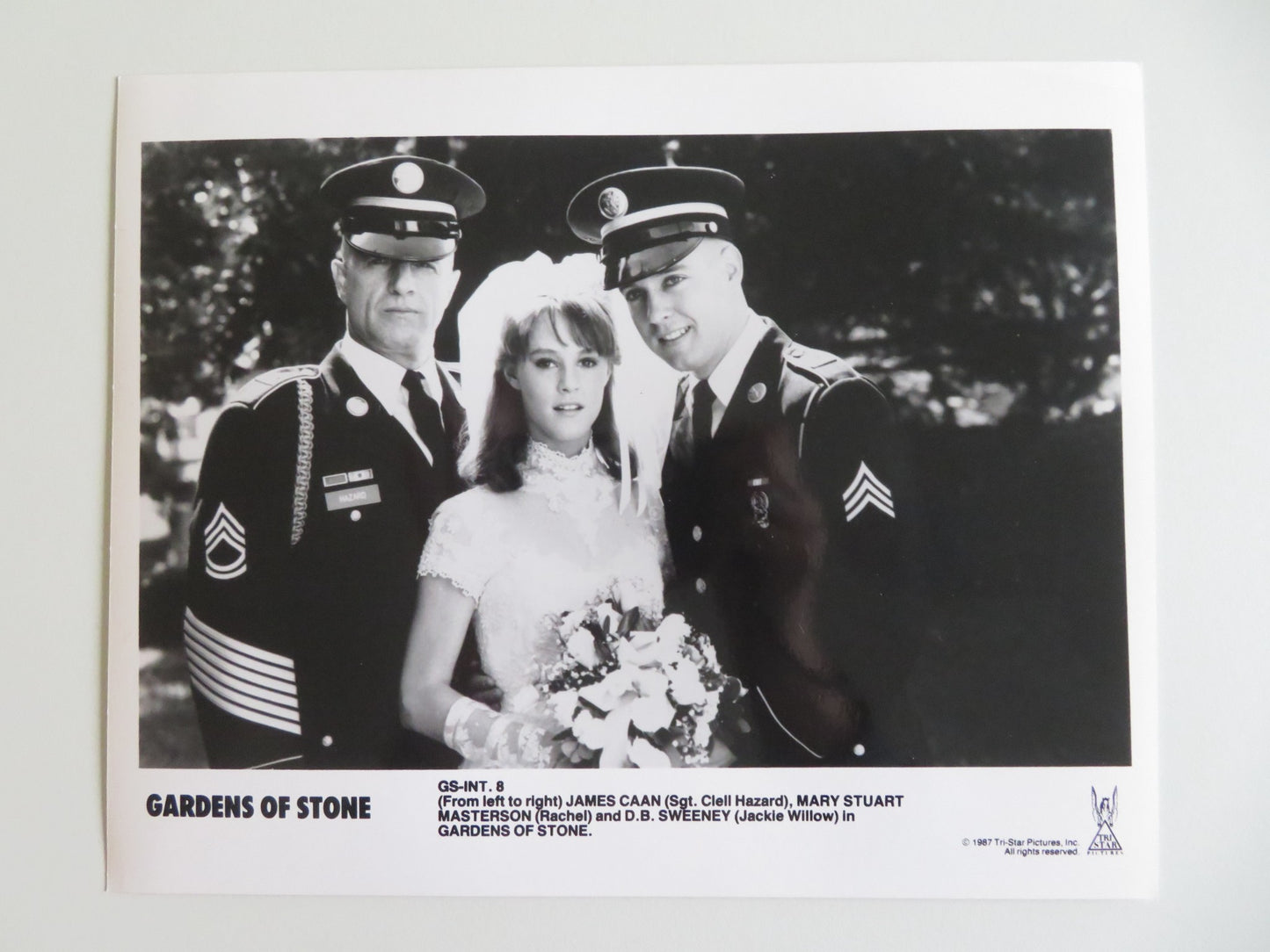 GARDENS OF STONE MOVIE STILL PHOTO LOT OF 8 JAMES CAAN ANJELICA HUSTON 1987