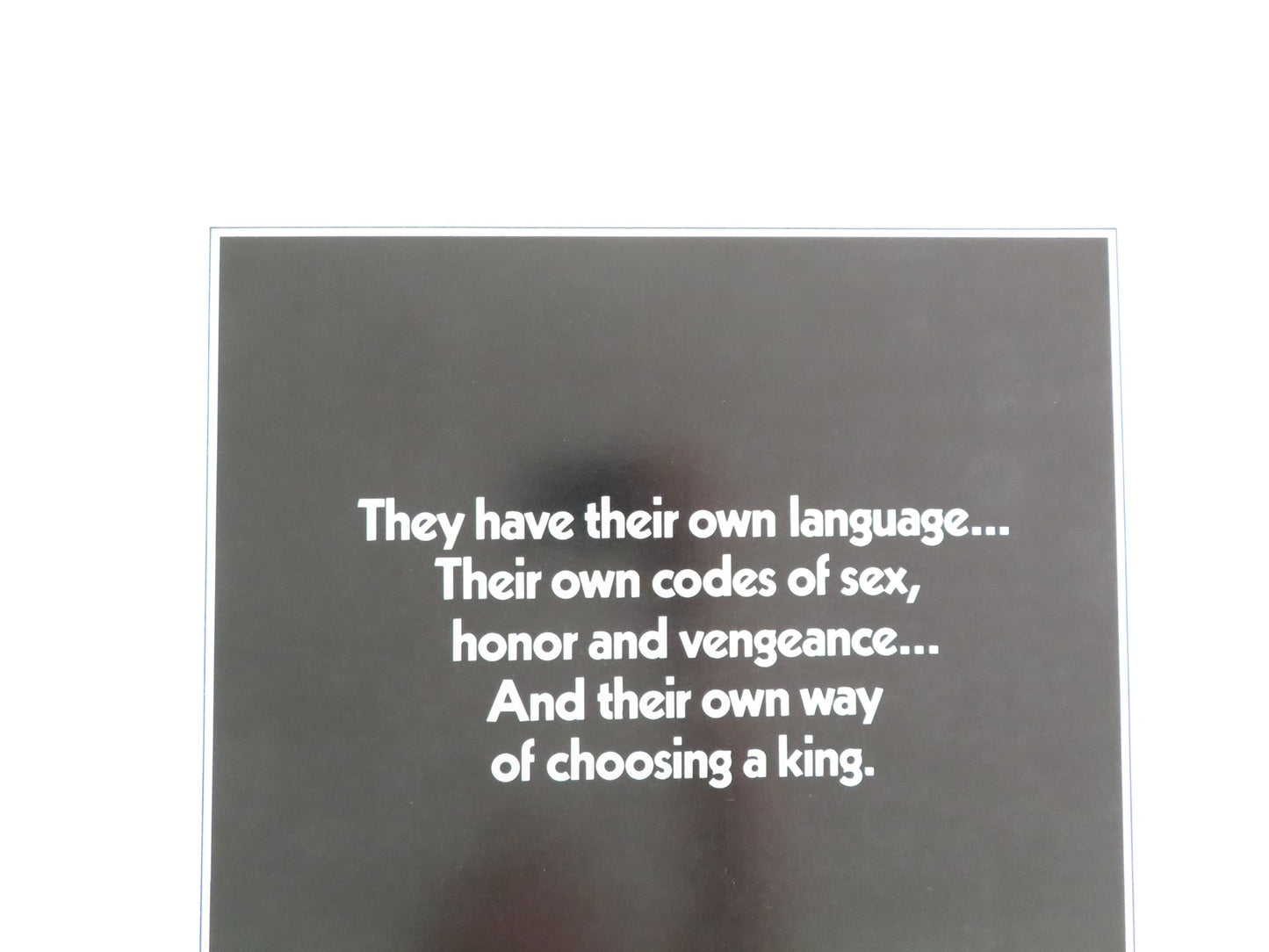 KING OF THE GYPSIES US INSERT POSTER STERLING HAYDEN SHELLEY WINTERS 1978 - Rendezvous Cinema