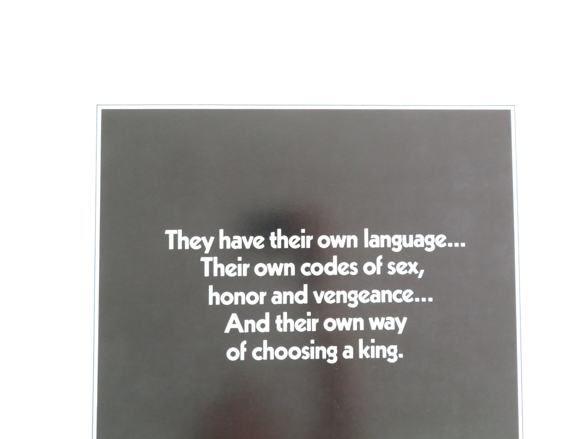 KING OF THE GYPSIES US INSERT POSTER STERLING HAYDEN SHELLEY WINTERS 1978 - Rendezvous Cinema