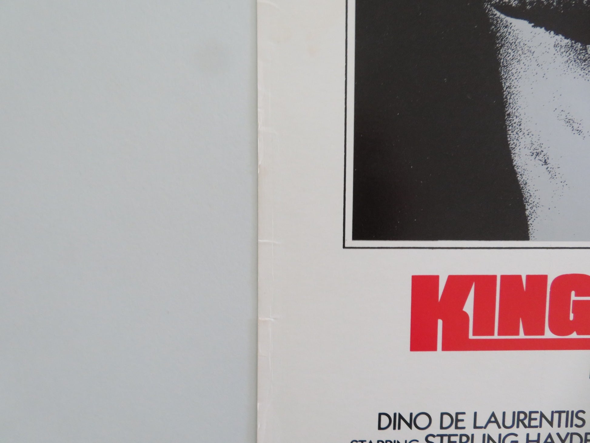 KING OF THE GYPSIES US INSERT POSTER STERLING HAYDEN SHELLEY WINTERS 1978 - Rendezvous Cinema