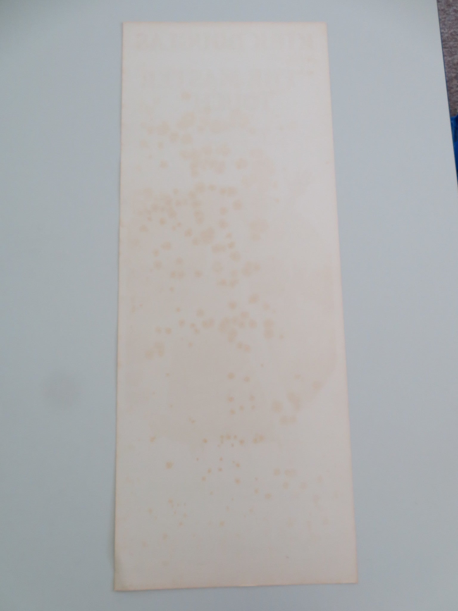 THE MASTER TOUCH US INSERT POSTER KIRK DOUGLAS GIULIANO GEMMA 1974 - Rendezvous Cinema