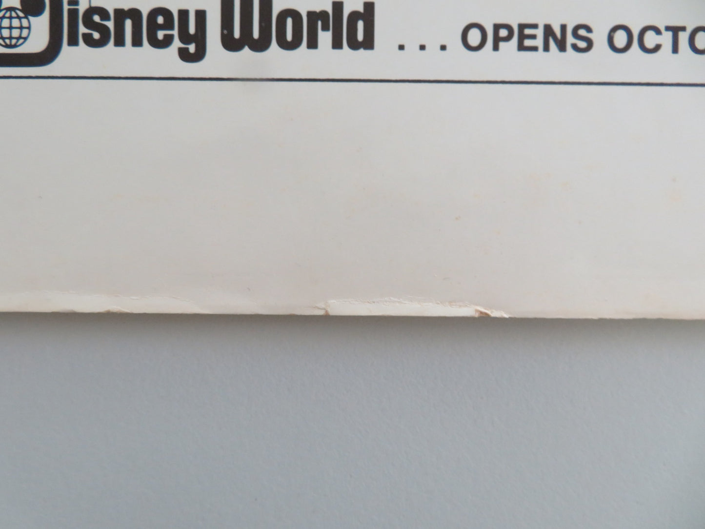 THE BAREFOOT EXECUTIVE US INSERT POSTER DISNEY KURT RUSSELL JOE FLYNN 1971 - Rendezvous Cinema