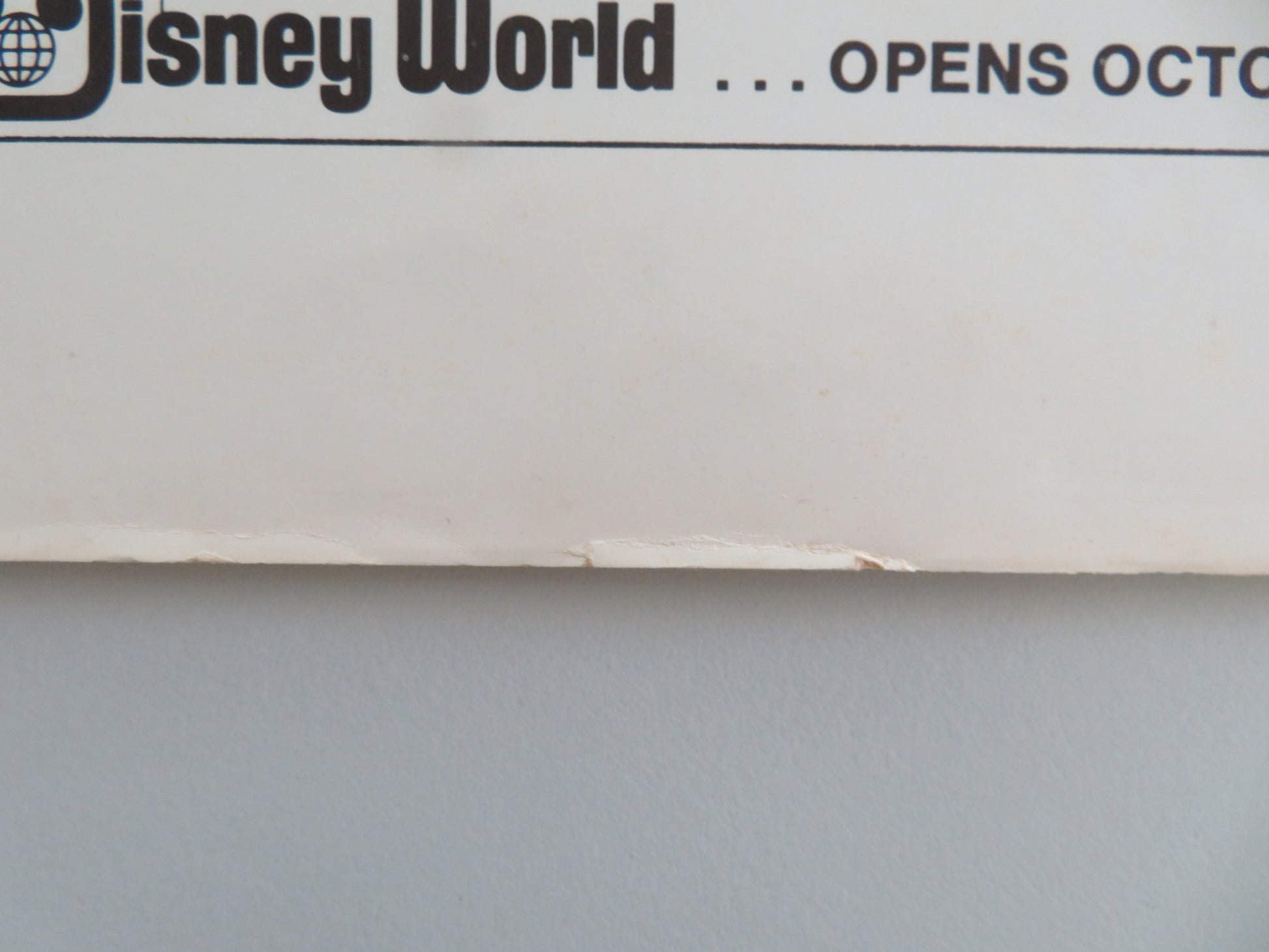 THE BAREFOOT EXECUTIVE US INSERT POSTER DISNEY KURT RUSSELL JOE FLYNN 1971 - Rendezvous Cinema