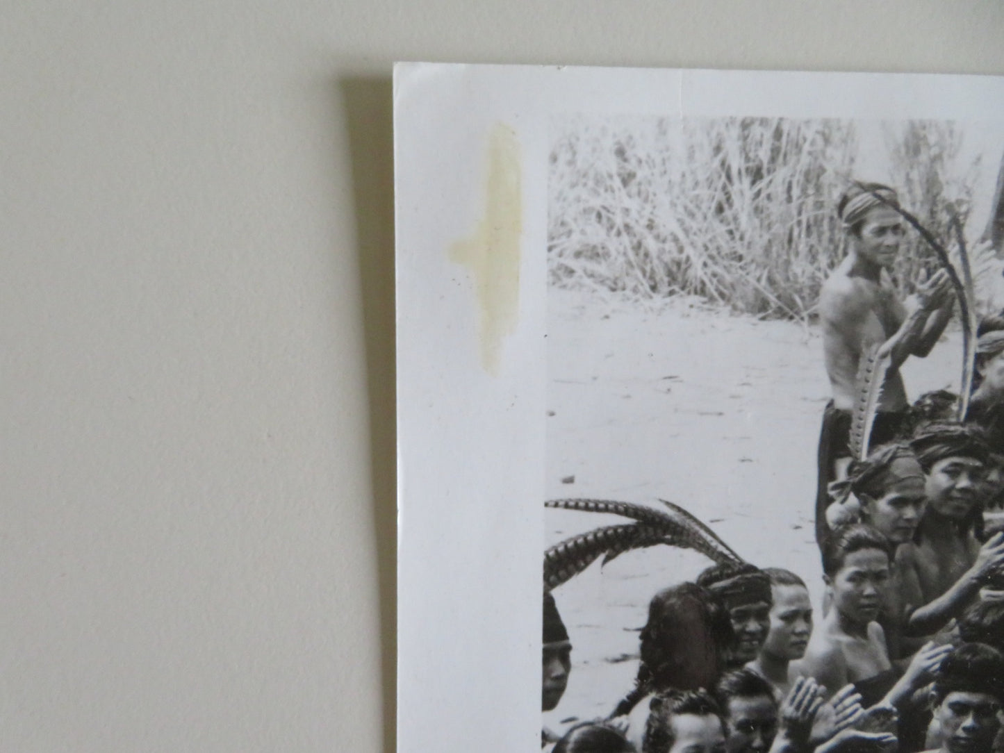 FAREWELL TO THE KING MOVIE STILL PHOTO LOT OF 4 NICK NOLTE NIGEL HAVERS 1989