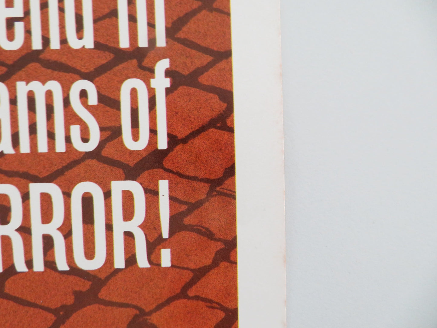 MURDERS IN THE RUE MORGUE US INSERT POSTER JASON ROBARDS CHRISTINE KAUFMAN 1971 - Rendezvous Cinema