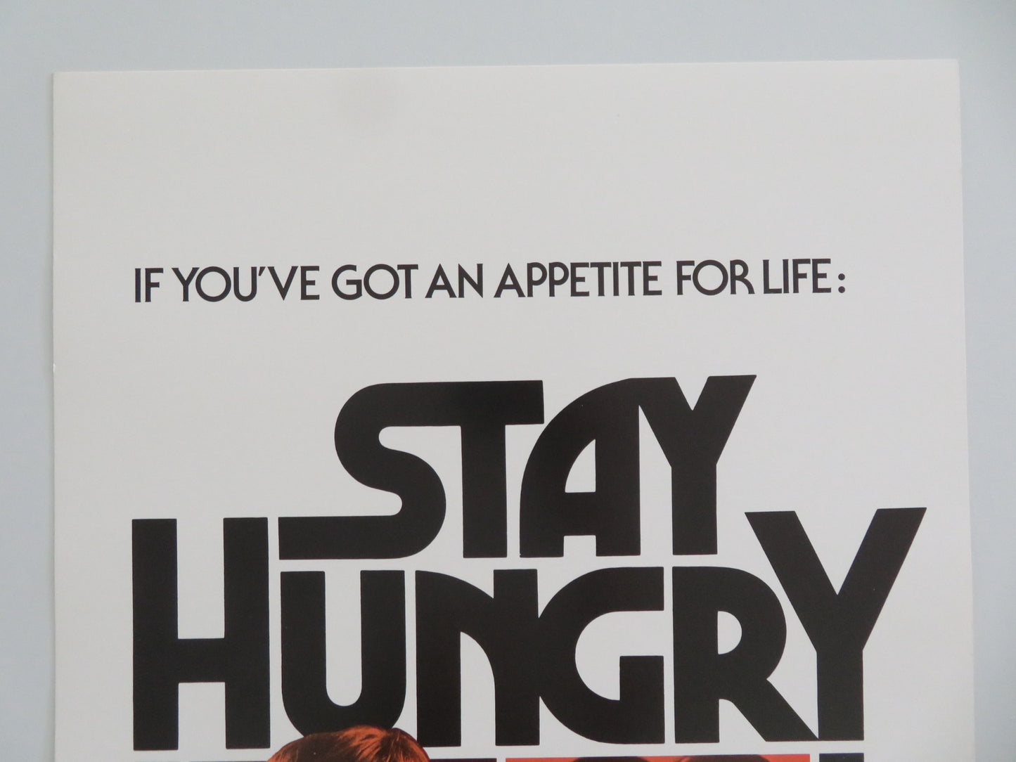 STAY HUNGRY US INSERT POSTER JEFF BRIDGES SALLY FIELD ARNOLD SCHWARZENEGGER 1976 - Rendezvous Cinema