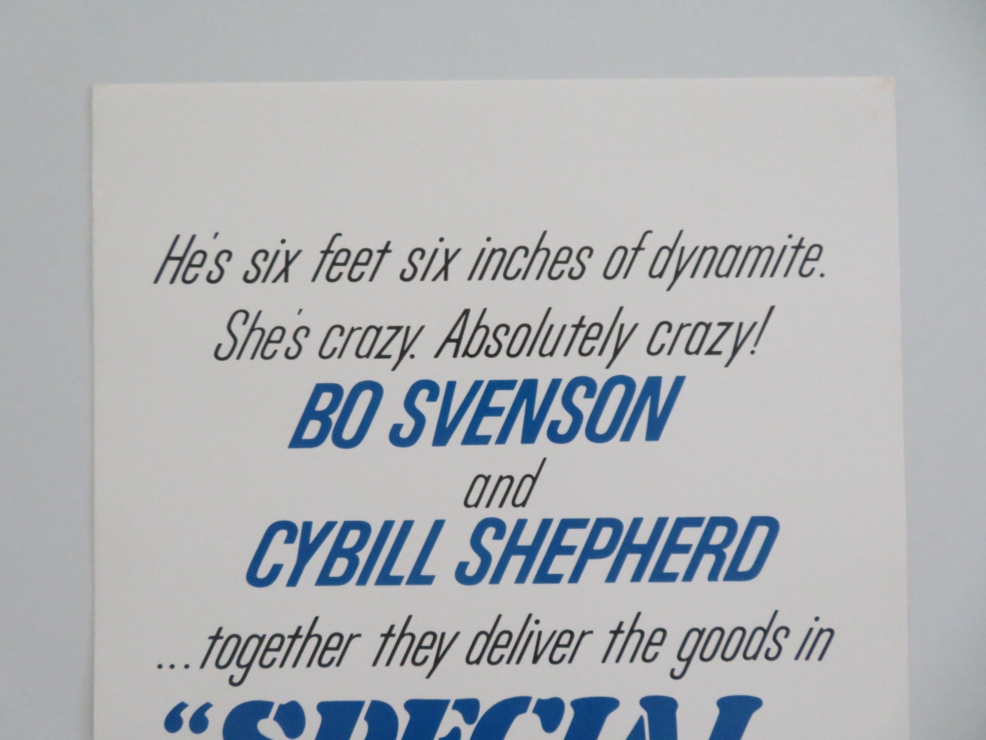 SPECIAL DELIVERY US INSERT POSTER BO SVENSON CYBILL SHEPHERD 1976 - Rendezvous Cinema