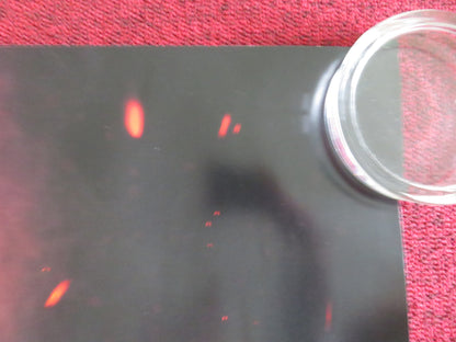 AVATAR: FIRE AND ASH UK QUAD ROLLED POSTER SAM WORTHINGTON ZOE SALDANA 2025