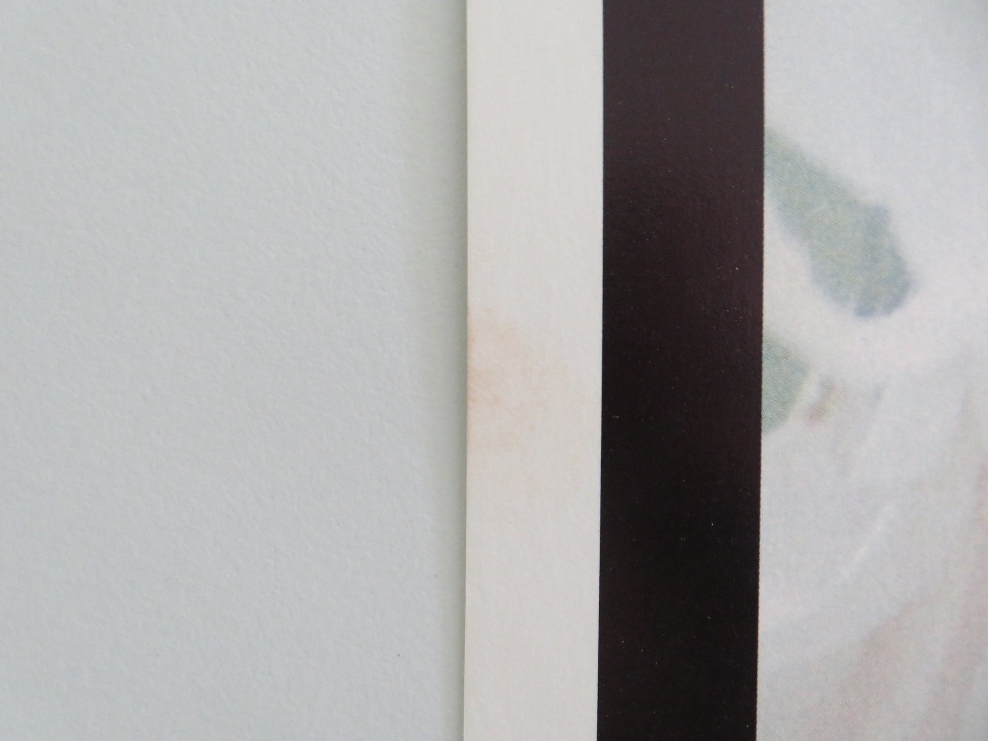 STAR 80 US INSERT POSTER MARIEL HEMINGWAY ERIC ROBERTS 1983 - Rendezvous Cinema