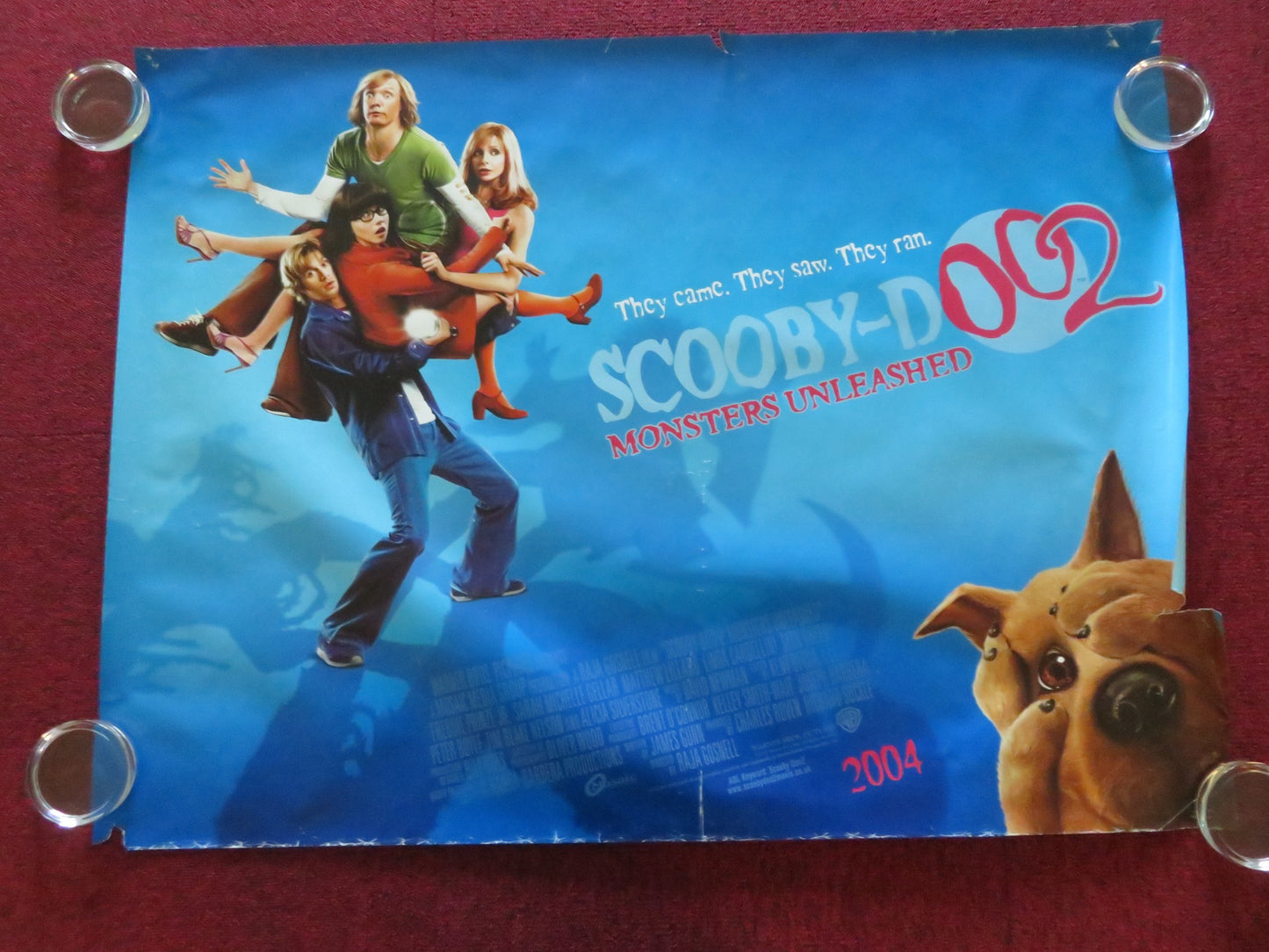 SCOOBY DOO 2: MONSTERS UNLEASHED UK QUAD ROLLED POSTER FREDDIE PRINZE JR. 2004