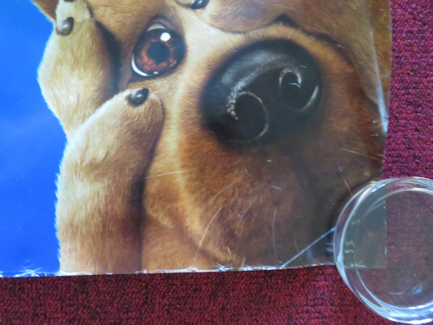 SCOOBY DOO 2: MONSTERS UNLEASHED UK QUAD ROLLED POSTER FREDDIE PRINZE JR. 2004