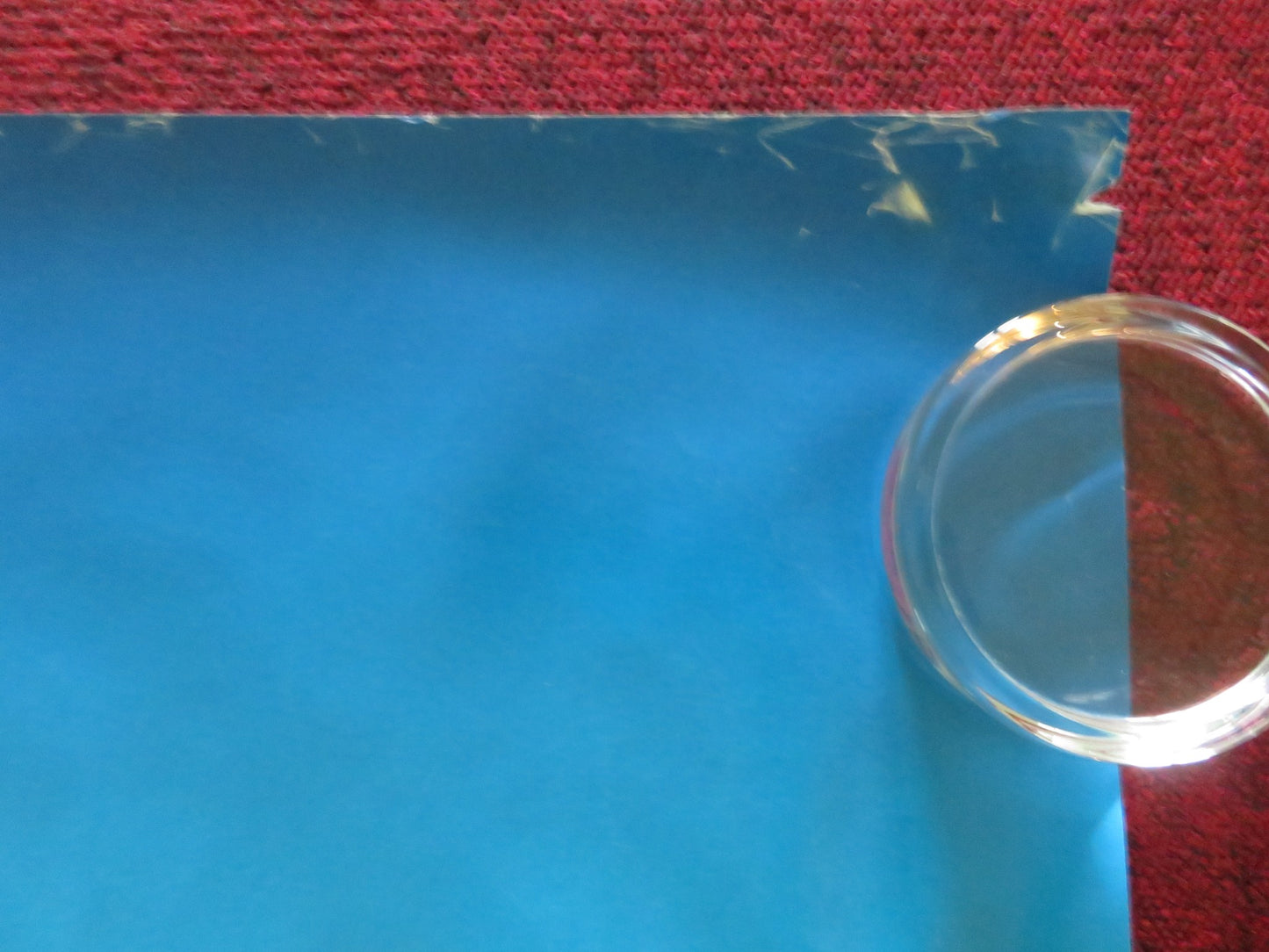 SCOOBY DOO 2: MONSTERS UNLEASHED UK QUAD ROLLED POSTER FREDDIE PRINZE JR. 2004