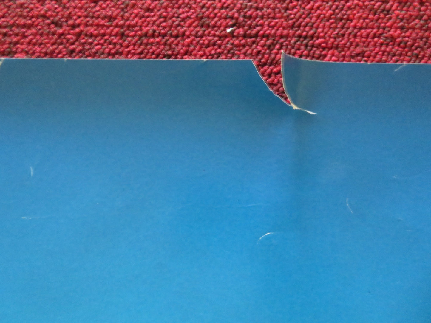 SCOOBY DOO 2: MONSTERS UNLEASHED UK QUAD ROLLED POSTER FREDDIE PRINZE JR. 2004