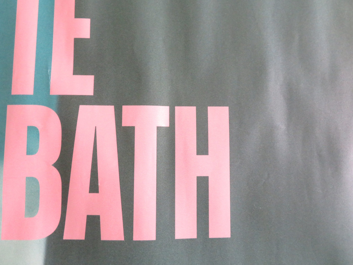 PAUL & PAULETTE TAKE A BATH UK QUAD ROLLED POSTER MARIE BENATI J. GALIANA 2024