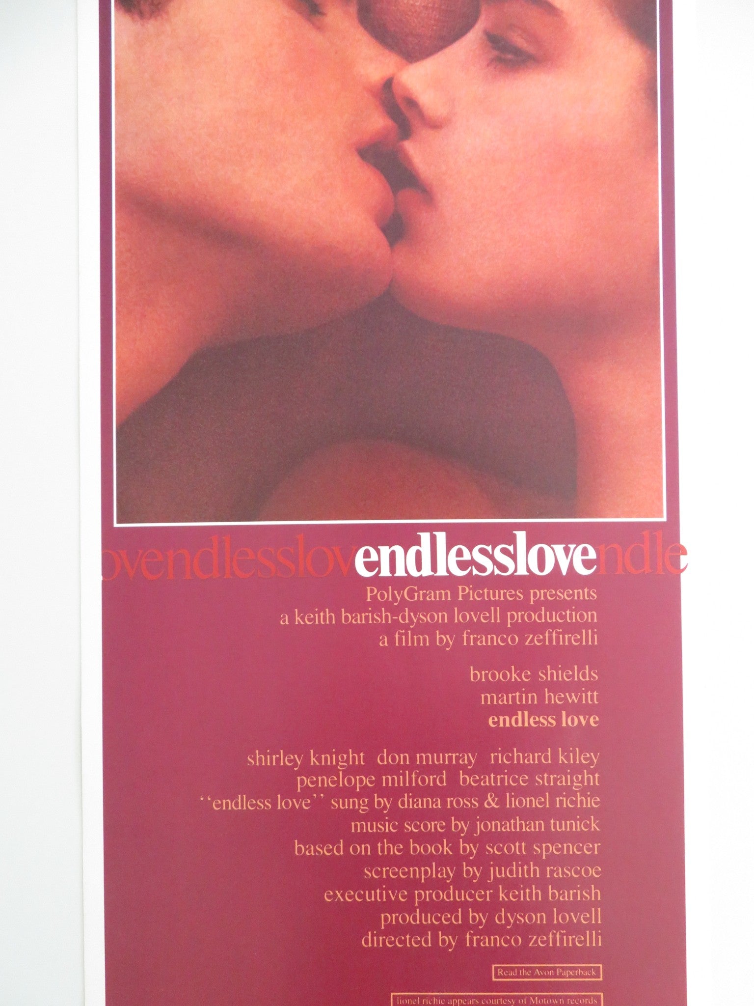 ENDLESS LOVE US INSERT POSTER BROOKE SHIELDS MARTIN HEWITT 1981 - Rendezvous Cinema