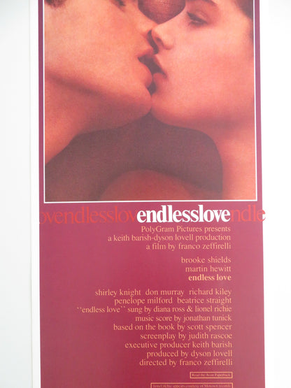 ENDLESS LOVE US INSERT POSTER BROOKE SHIELDS MARTIN HEWITT 1981 - Rendezvous Cinema