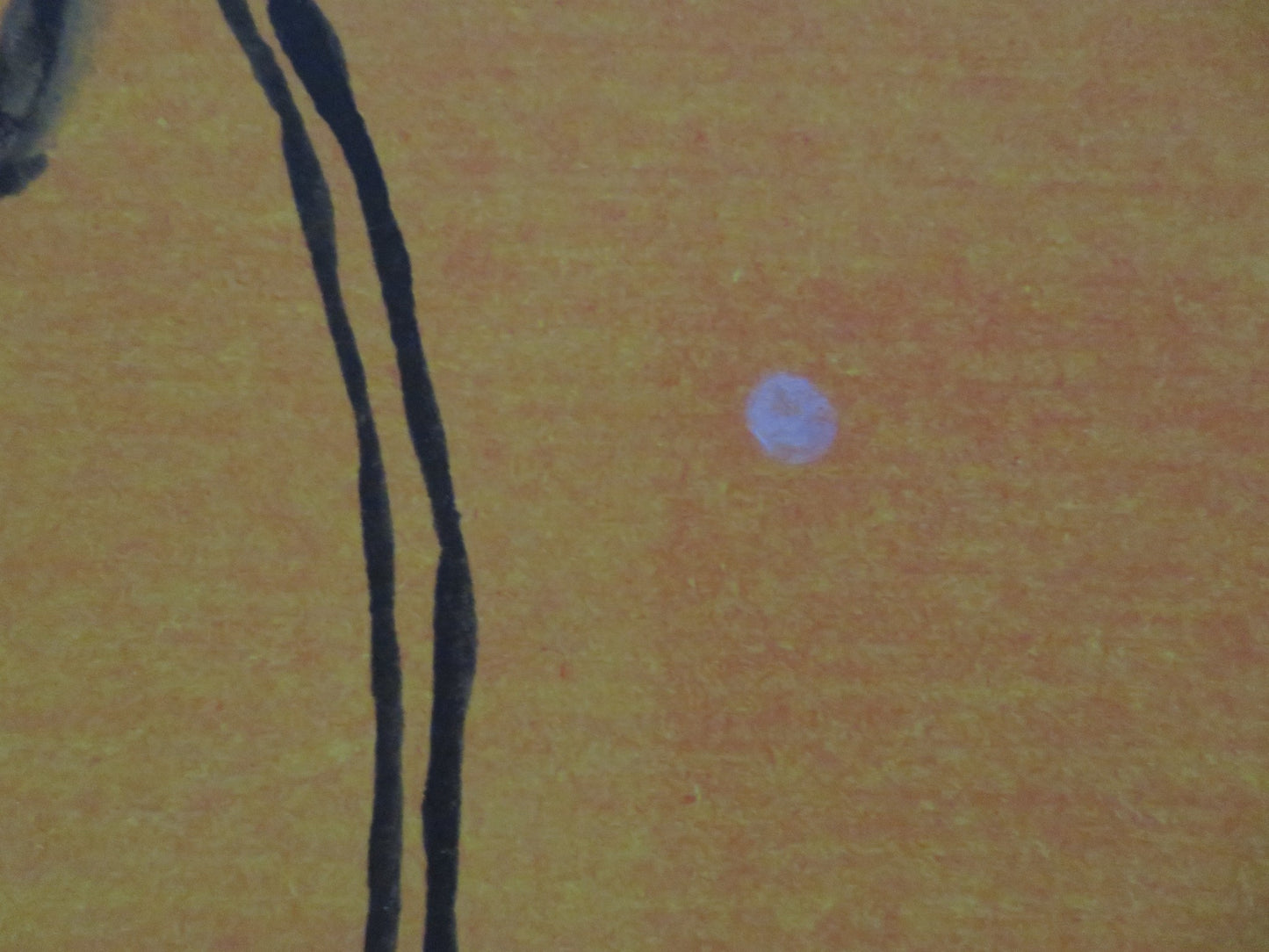 MUGABE AND THE WHITE AFRICAN UK QUAD ROLLED POSTER 2009