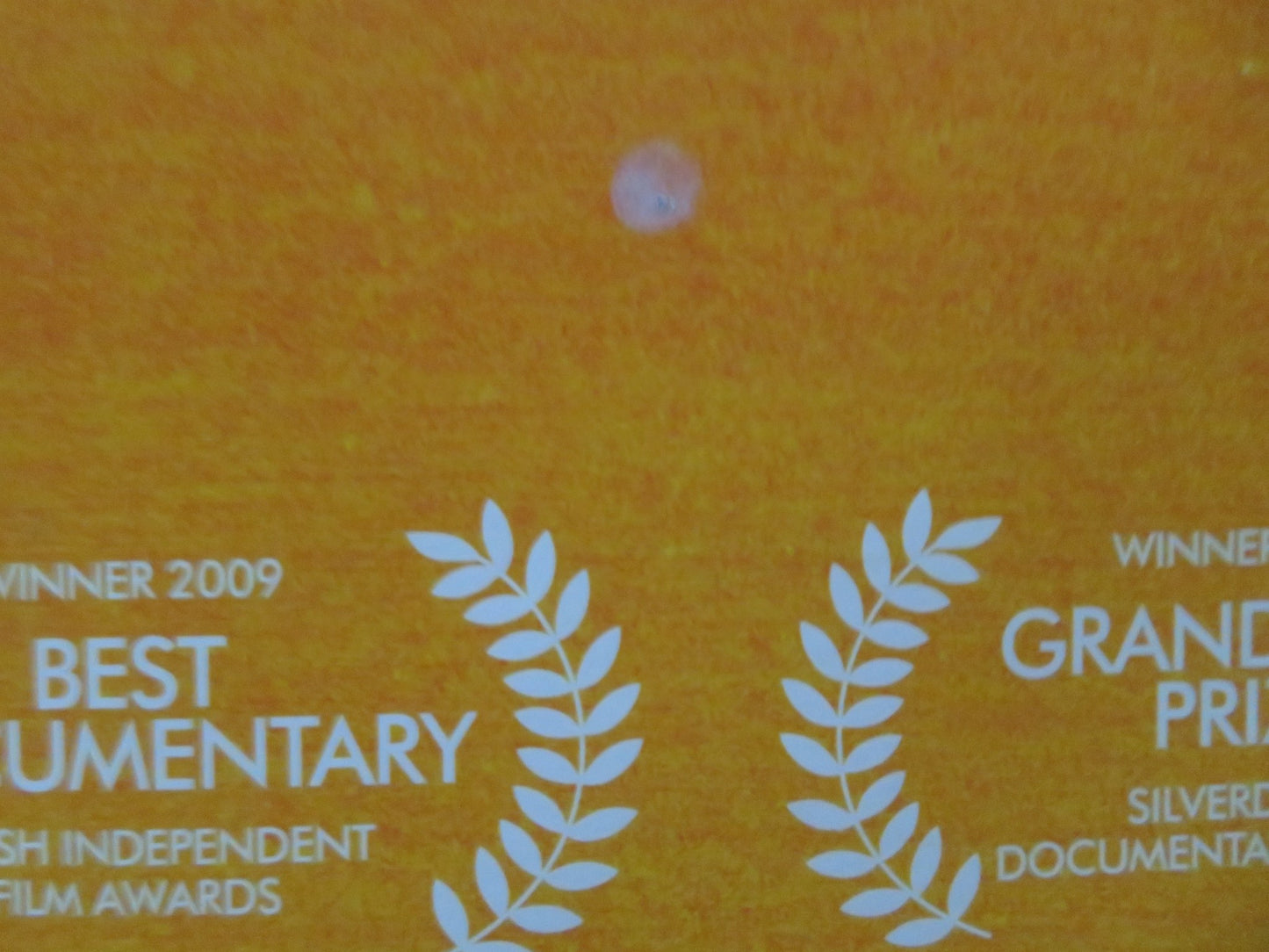 MUGABE AND THE WHITE AFRICAN UK QUAD ROLLED POSTER 2009