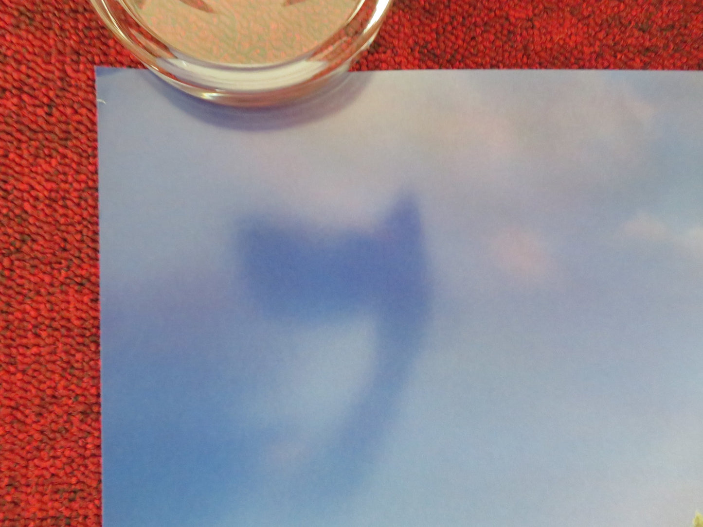 MOANA 2 - C ONE SHEET ROLLED POSTER DISNEY AULI'L CRAVALHO DWAYNE JOHNSON 2024 - Rendezvous Cinema