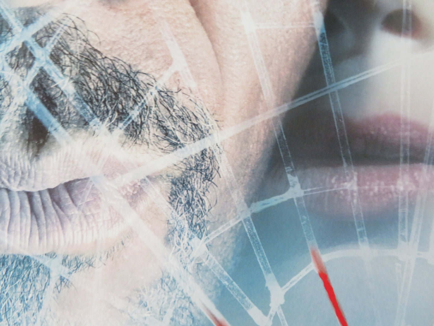 ALONG CAME A SPIDER DVD POSTER MORGAN FREEMAN MONICA POTTER 2001 - Rendezvous Cinema