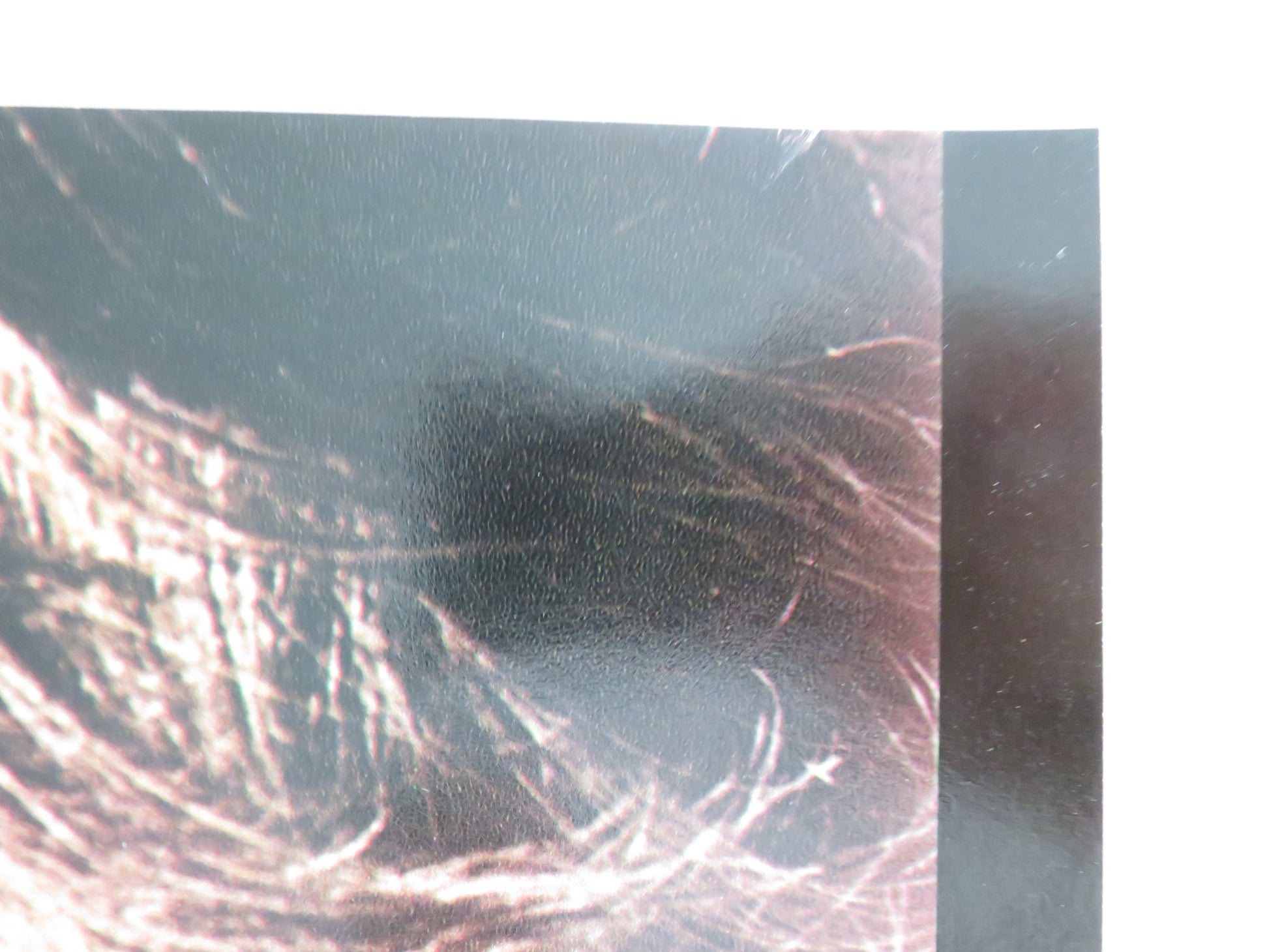 FRENZY - E ITALIAN FOTOBUSTA POSTER JON FINCH BARRY FOSTER 1972 - Rendezvous Cinema