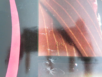 FRENZY - J ITALIAN FOTOBUSTA POSTER JON FINCH BARRY FOSTER 1972 - Rendezvous Cinema