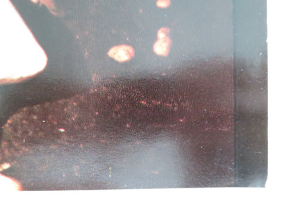 FRENZY - J ITALIAN FOTOBUSTA POSTER JON FINCH BARRY FOSTER 1972 - Rendezvous Cinema