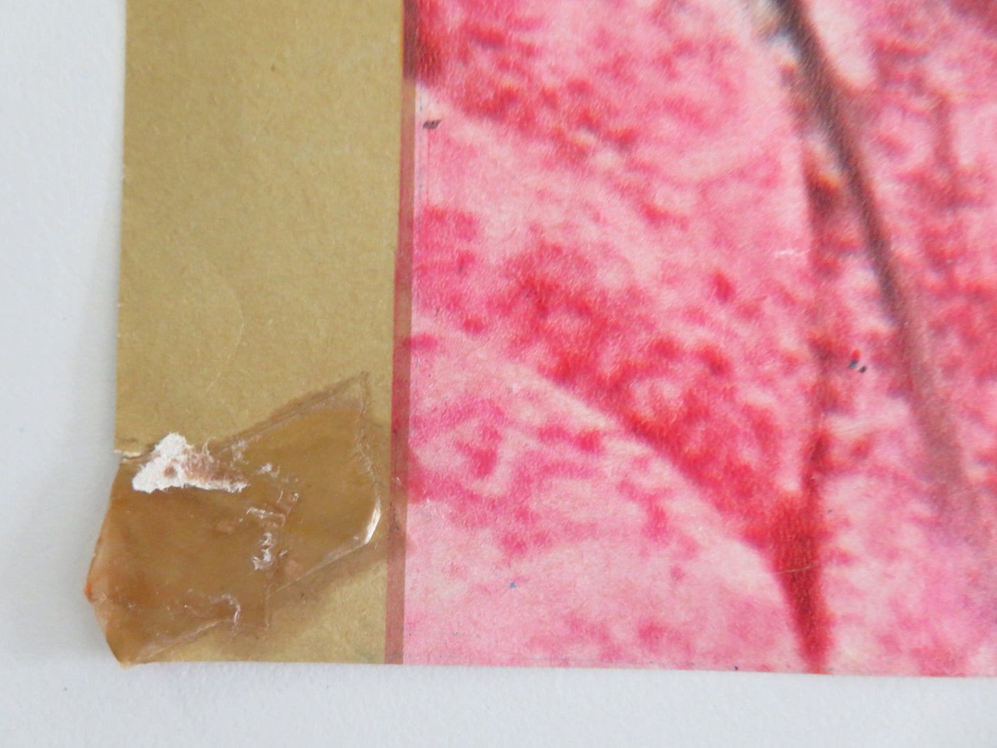 BOXCAR BERTHA ITALIAN FOTOBUSTA POSTER BARBARA HERSHEY DAVID CARRADINE 1973 - Rendezvous Cinema