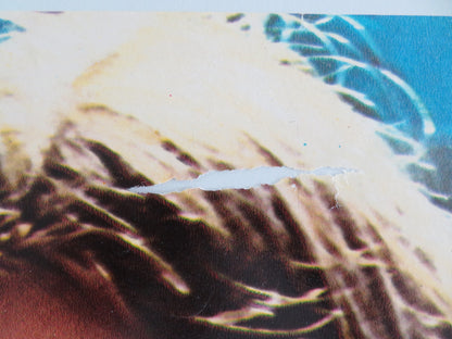 BOXCAR BERTHA ITALIAN FOTOBUSTA POSTER BARBARA HERSHEY DAVID CARRADINE 1973 - Rendezvous Cinema