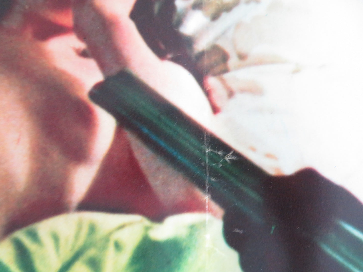 THE BLACK PANTHER- A ITALIAN FOTOBUSTA POSTER DONALD SUMPTER FARRINGTON 1980 - Rendezvous Cinema