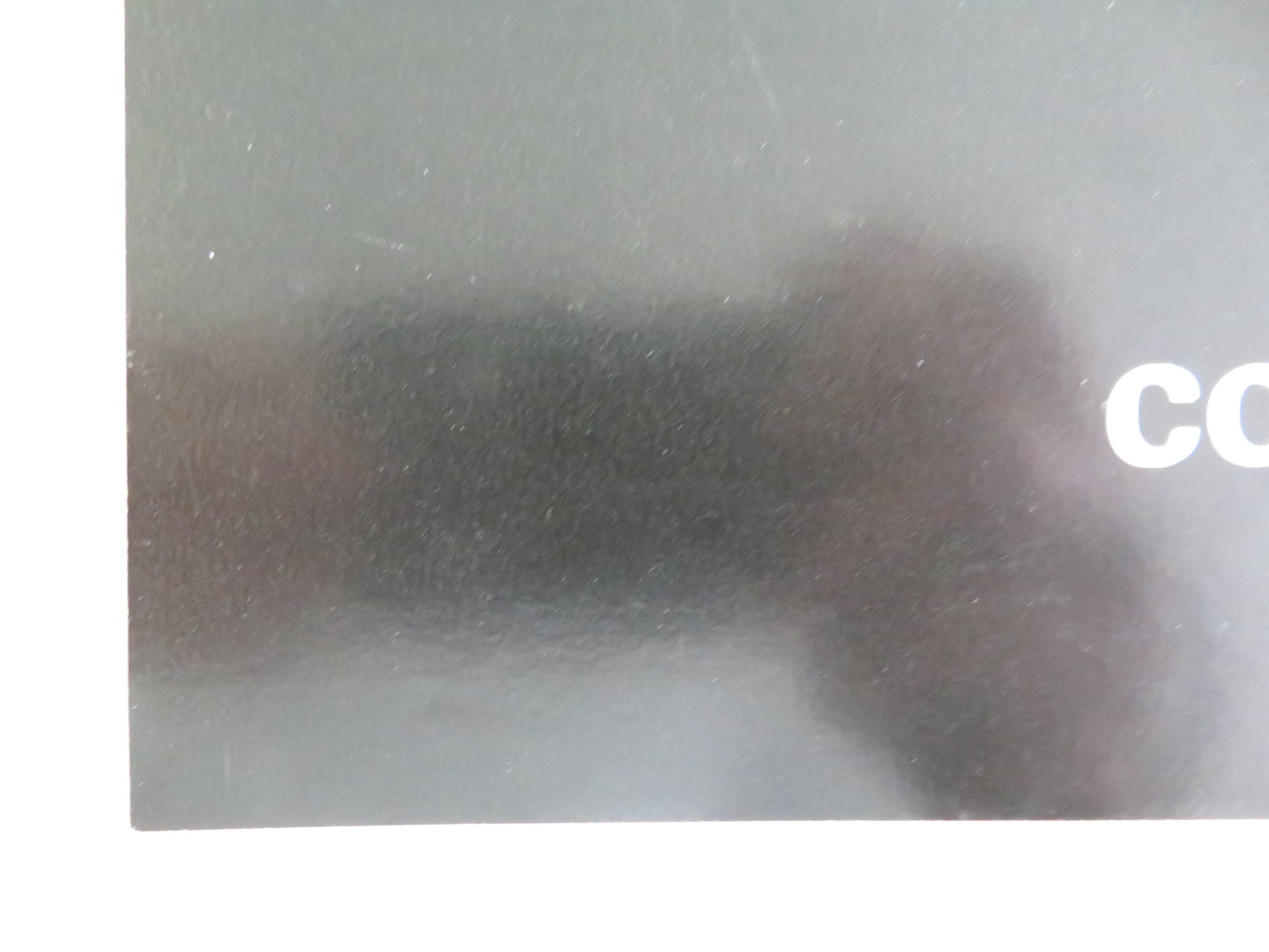 THE BLACK PANTHER- A ITALIAN FOTOBUSTA POSTER DONALD SUMPTER FARRINGTON 1980 - Rendezvous Cinema