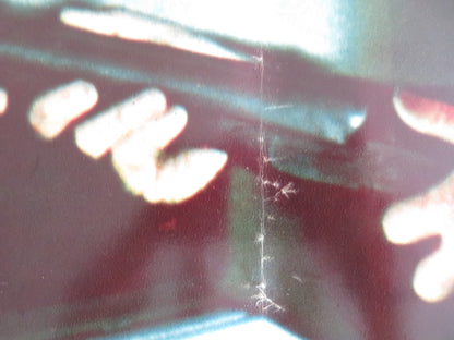 THE BLACK PANTHER- B ITALIAN FOTOBUSTA POSTER DONALD SUMPTER FARRINGTON 1980 - Rendezvous Cinema