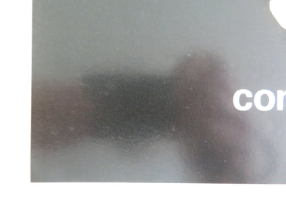 THE BLACK PANTHER- B ITALIAN FOTOBUSTA POSTER DONALD SUMPTER FARRINGTON 1980 - Rendezvous Cinema