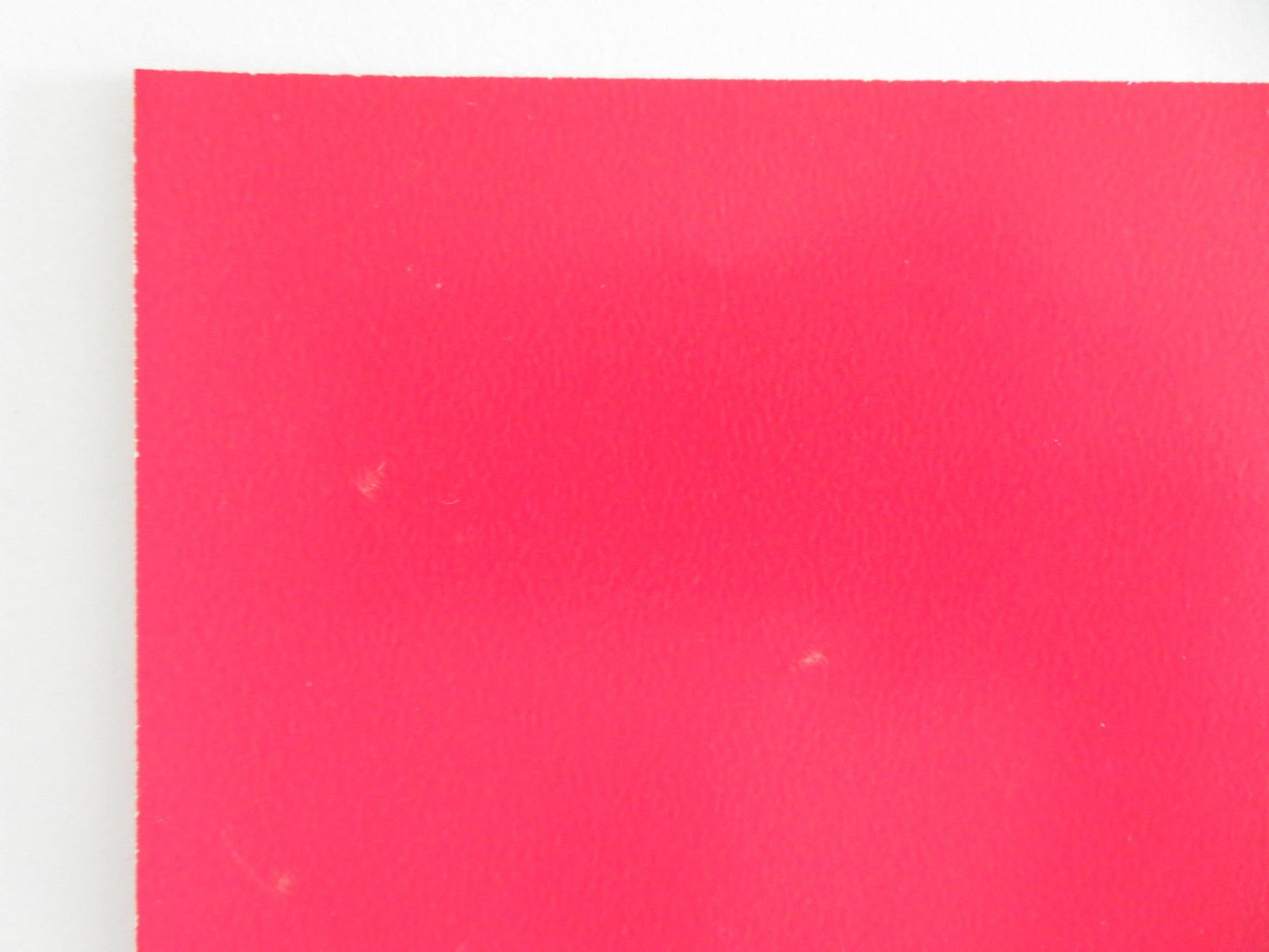 THE BLACK PANTHER- C ITALIAN FOTOBUSTA POSTER DONALD SUMPTER FARRINGTON 1980 - Rendezvous Cinema