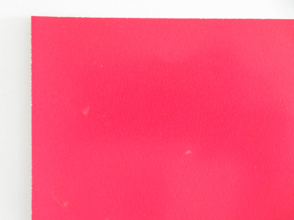 THE BLACK PANTHER- C ITALIAN FOTOBUSTA POSTER DONALD SUMPTER FARRINGTON 1980 - Rendezvous Cinema