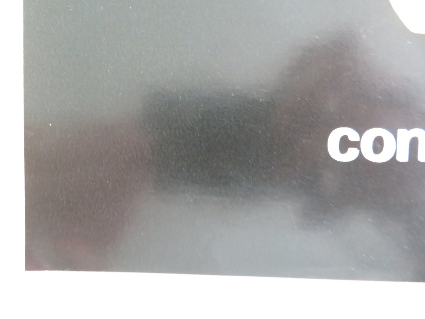 THE BLACK PANTHER- C ITALIAN FOTOBUSTA POSTER DONALD SUMPTER FARRINGTON 1980 - Rendezvous Cinema