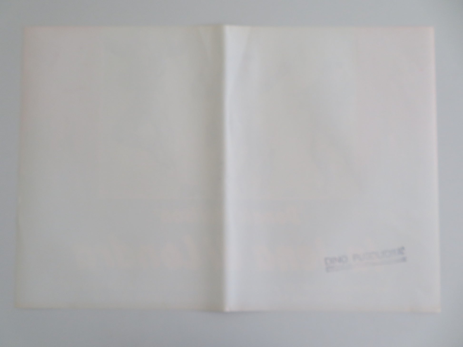 THE BLACK PANTHER- C ITALIAN FOTOBUSTA POSTER DONALD SUMPTER FARRINGTON 1980 - Rendezvous Cinema