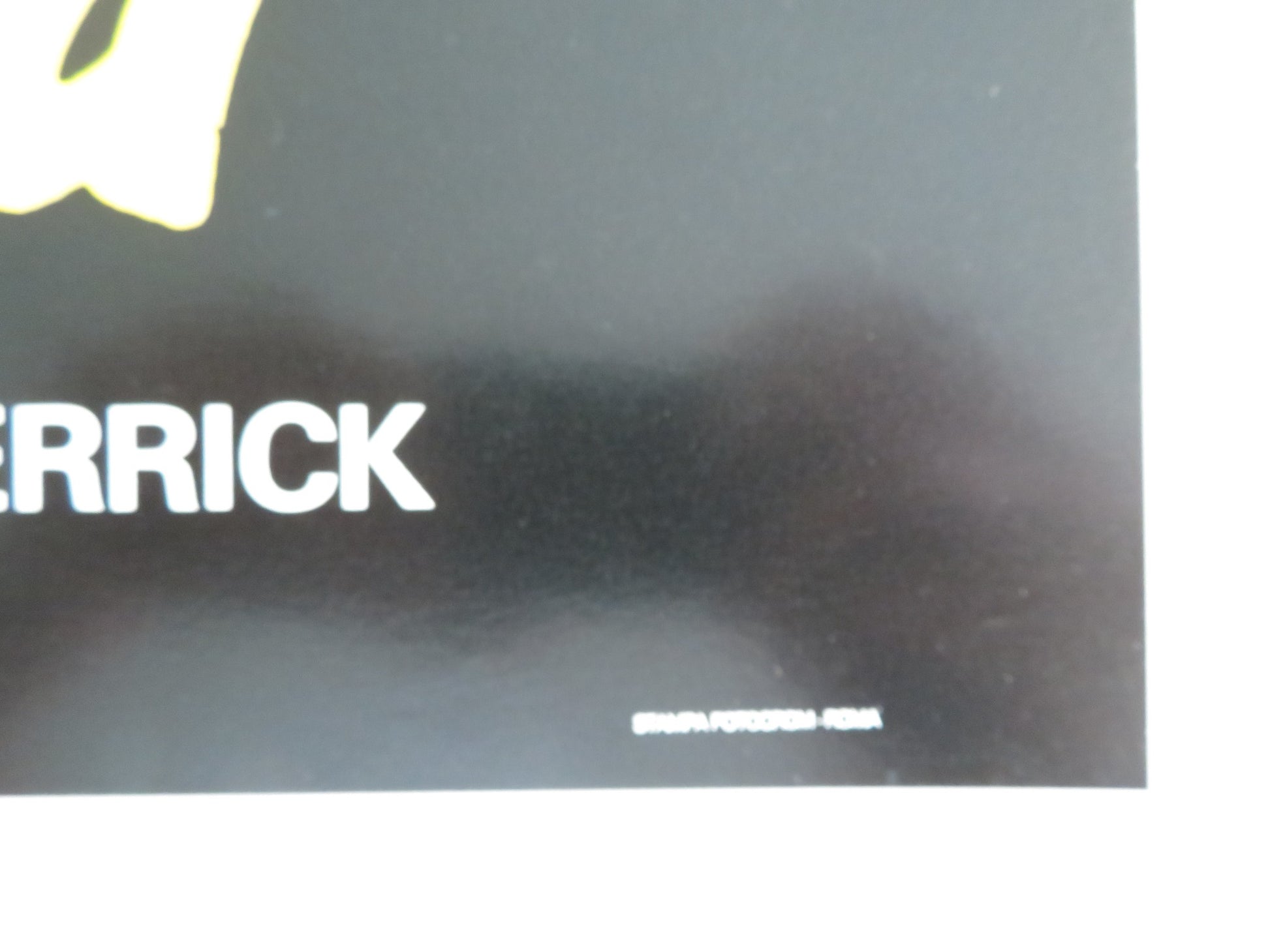 THE BLACK PANTHER- F ITALIAN FOTOBUSTA POSTER DONALD SUMPTER FARRINGTON 1980 - Rendezvous Cinema