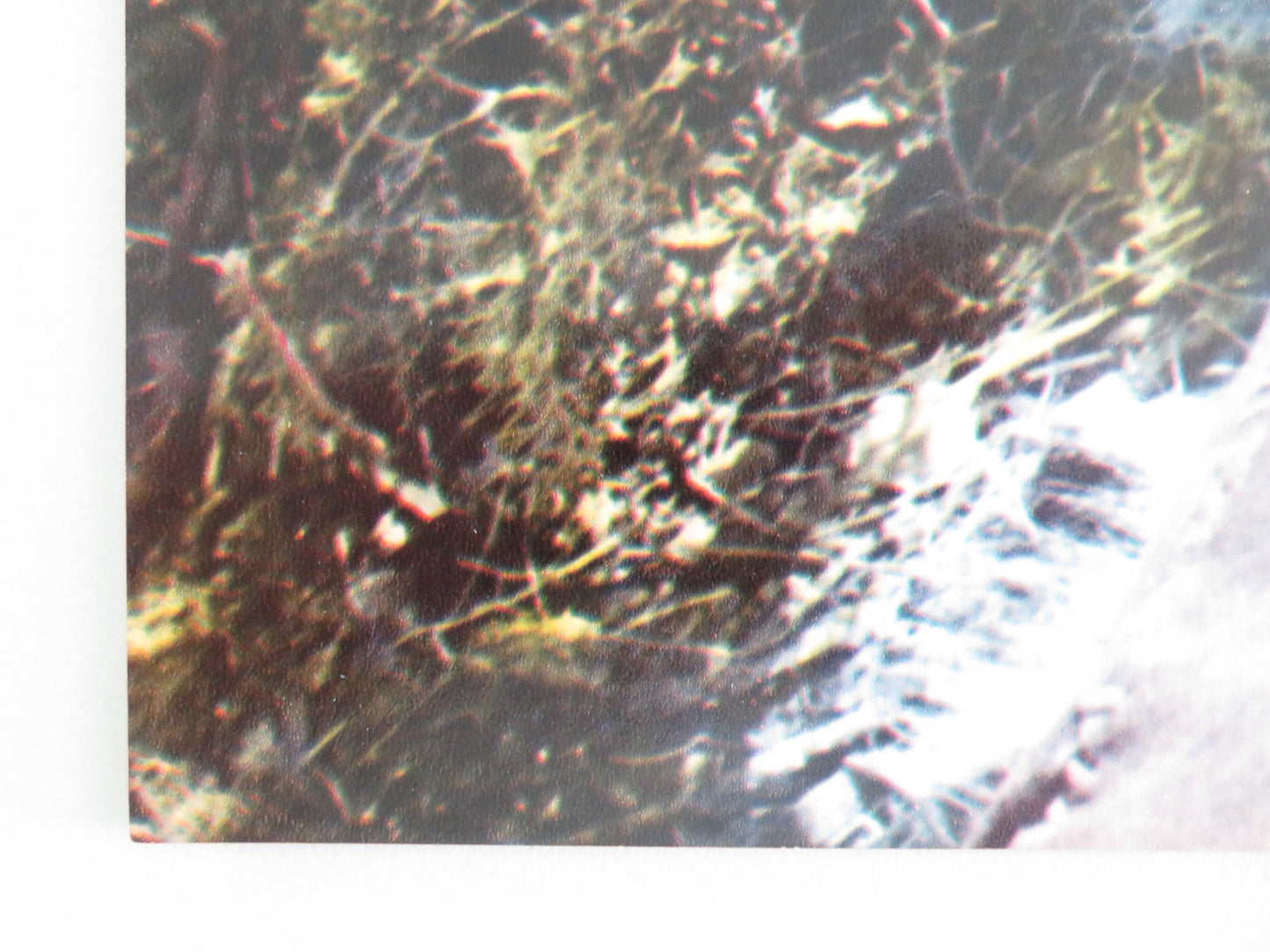 JEREMIAH JOHNSON - B ITALIAN FOTOBUSTA POSTER ROBERT REDFORD WILL GEER 1972 - Rendezvous Cinema