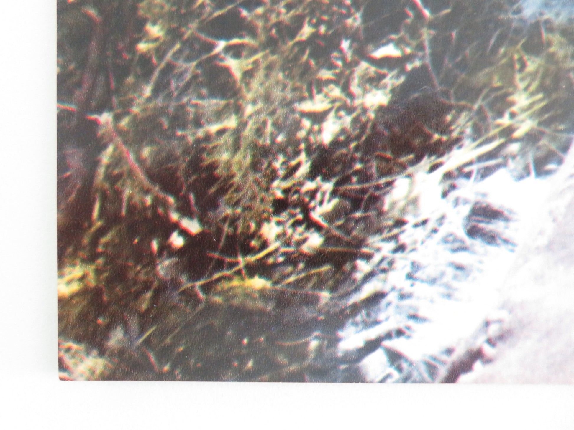 JEREMIAH JOHNSON - B ITALIAN FOTOBUSTA POSTER ROBERT REDFORD WILL GEER 1972 - Rendezvous Cinema