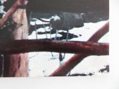 JEREMIAH JOHNSON - B ITALIAN FOTOBUSTA POSTER ROBERT REDFORD WILL GEER 1972 - Rendezvous Cinema