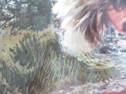 JEREMIAH JOHNSON - D ITALIAN FOTOBUSTA POSTER ROBERT REDFORD WILL GEER 1972 - Rendezvous Cinema