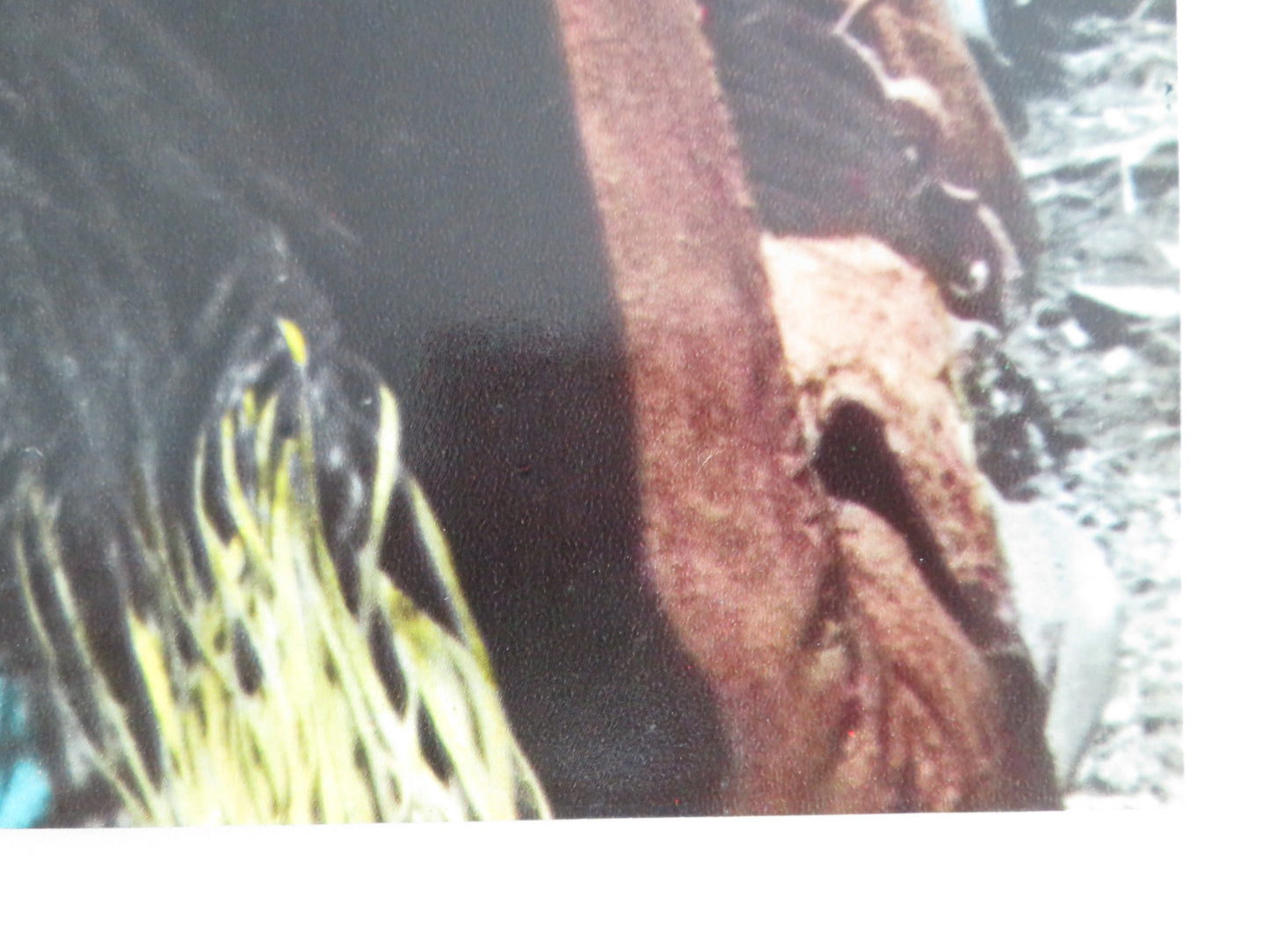 JEREMIAH JOHNSON - D ITALIAN FOTOBUSTA POSTER ROBERT REDFORD WILL GEER 1972 - Rendezvous Cinema