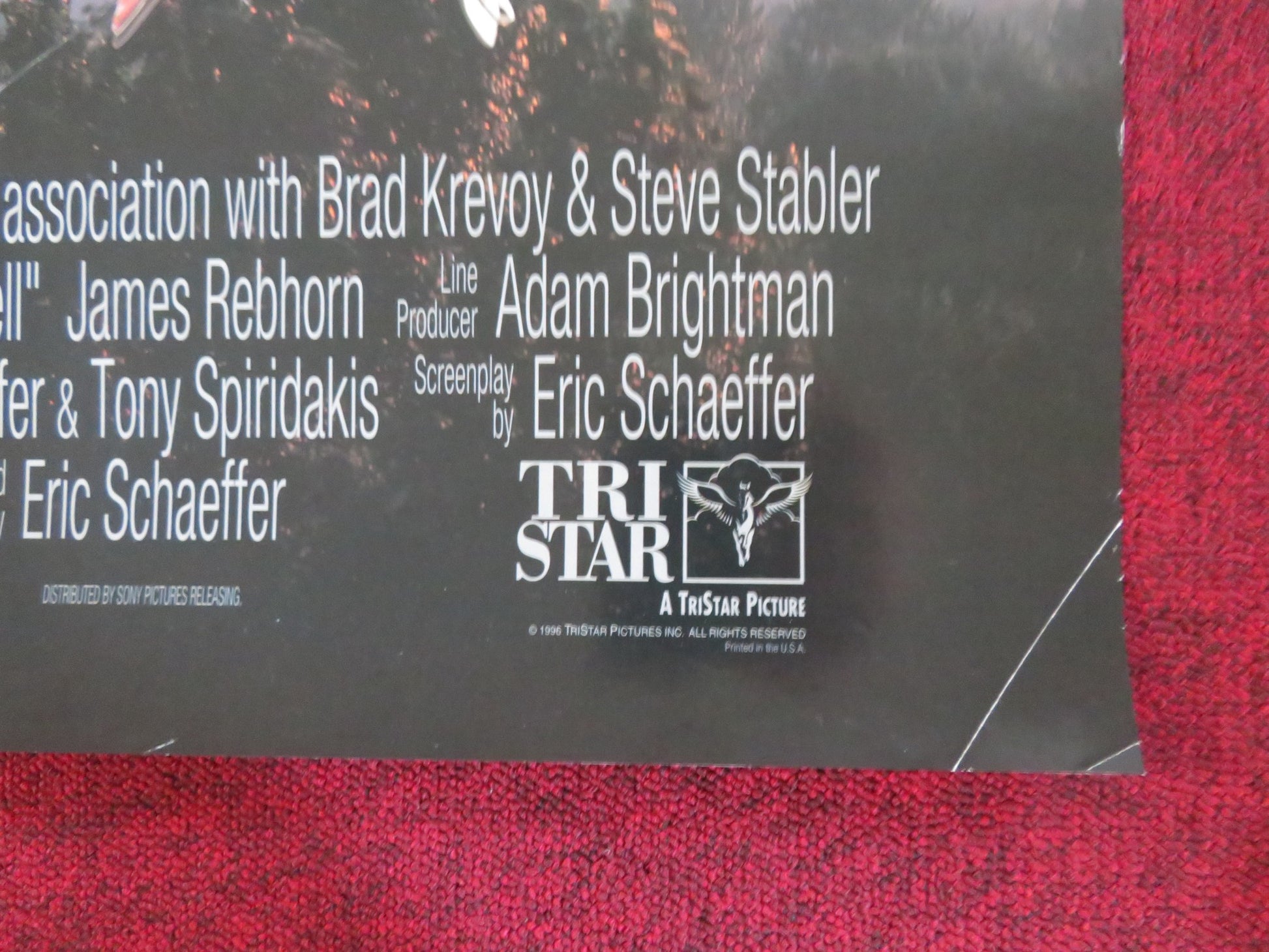 IF LUCY FELL VHS VIDEO POSTER ROLLED SARAH JESSICA PARKER BEN STILLER 1996 - Rendezvous Cinema