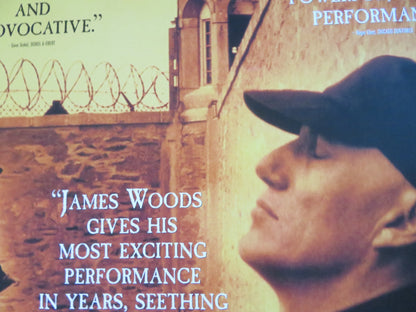 KILLER: A JOURNAL OF MURDER VHS VIDEO POSTER ROLLED JAMES WOODS 1995 - Rendezvous Cinema